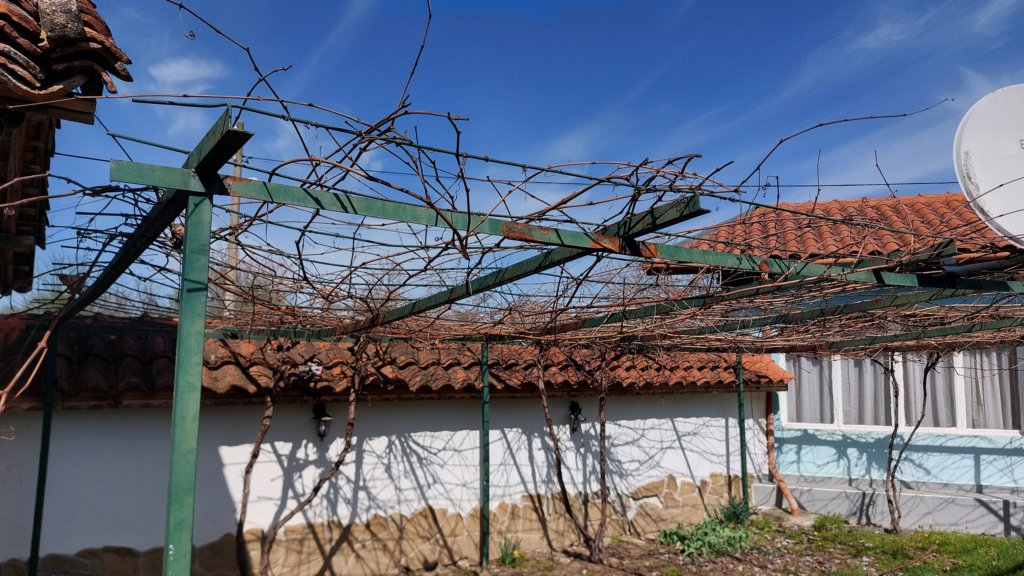 photo.jpg